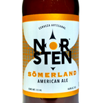 Cerveza Artesanal Norsten American Ale 3 botellas de 355ml c/u