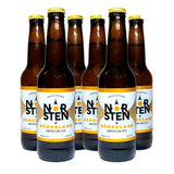 Cerveza Artesanal Norsten American Ale 6 botellas de 355ml c/u